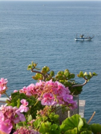 CASA BLANKA - Ausblick aufs Mittelmeer